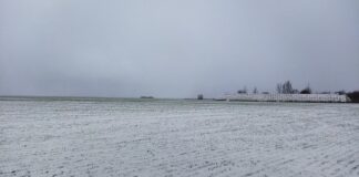 Za co oceniamy dzieci w wieku wczesnoszkolnym i dlaczego?