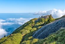 Jaka jest różnica między przedszkolem publicznym a niepublicznym?