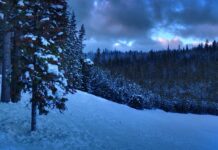 Czy po licencjacie można pracować w liceum?