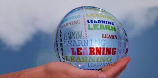 Co można robić po pedagogice wczesnoszkolnej?