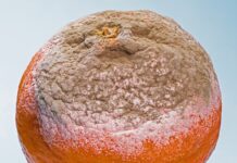 Jakie są formy zawarcia umowy?