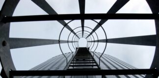 Jakie studia są najbardziej przyszłościowe?