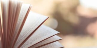 Jak nazywają się strony umowy?