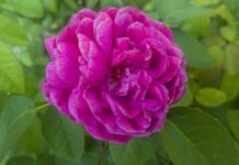 Ile ZUS na kontrakcie?