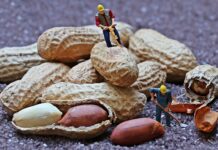 Jak pracują przedszkola? Jak pracują przedszkola?