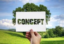 Co to jest metoda i czym się charakteryzuje?