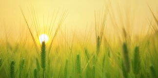 Czego potrzebuje każdy człowiek? Czego potrzebuje każdy człowiek?