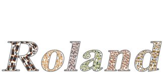 Czym się różni sieć LAN od WAN?