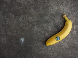 Jakie wymagania dla Windows 11?