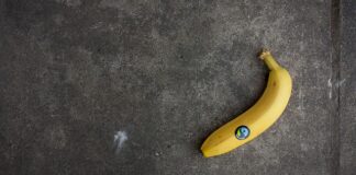 Jakie wymagania dla Windows 11?