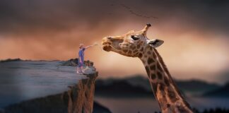 Czy da się żyć z korepetycji?