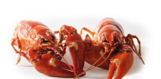 Jak długo można żyć z rakiem z przerzutami?