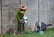 Ile kosztuje abonament na OnlyFans?