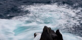 Czy ceny mieszkań w 2023 wzrosną?