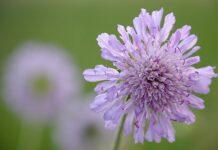 Co to znaczy że dane są integralne? Co to znaczy że dane są integralne?