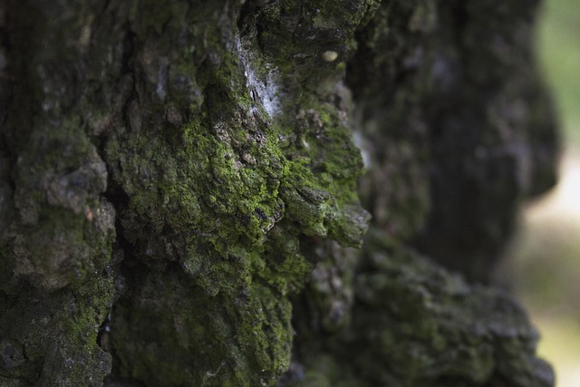 Czy referencje mogą być negatywne? Czy referencje mogą być negatywne?