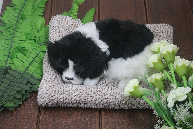 W jaki sposób można zapewnić wieży integralności w relacyjnej bazie danych? W jaki sposób można zapewnić wieży integralności w relacyjnej bazie danych?