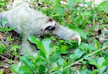 Ile będzie kosztować euro w 2023 roku? Ile będzie kosztować euro w 2023 roku?