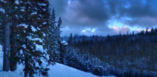 Czy po licencjacie ma się przygotowanie pedagogiczne?