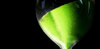 Jak jest naliczana pierwsza wypłata?