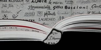 Kto płaci za adwokata z urzędu?