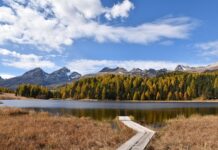 Co jeśli nie mam stażu pracy?