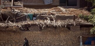 Jakie są normy społeczne?