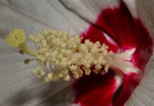 Ile zasad zawierają postulaty codda? Ile zasad zawierają postulaty codda?