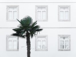 Skąd pobrać Windows 10 Pro? Skąd pobrać Windows 10 Pro?