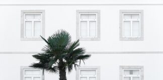 Skąd pobrać Windows 10 Pro?