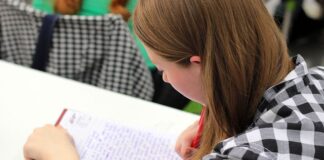 Jakie studia dla introwertyka?