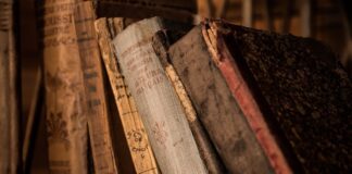 Co to jest edukacja przedszkolna i wczesnoszkolna?