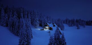 Czy polskie studia są uznawane za granicą?