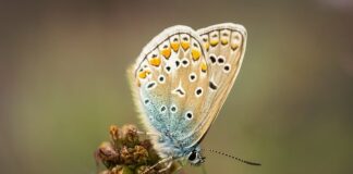 Co dodaje nam skrzydeł?