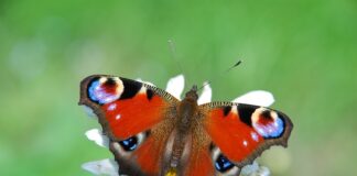 Czym w praktyce jest IoT? Czym w praktyce jest IoT?