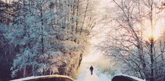 Ile dni urlopu za każdy miesiąc?