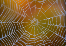 Ile netto na rękę w 2023?